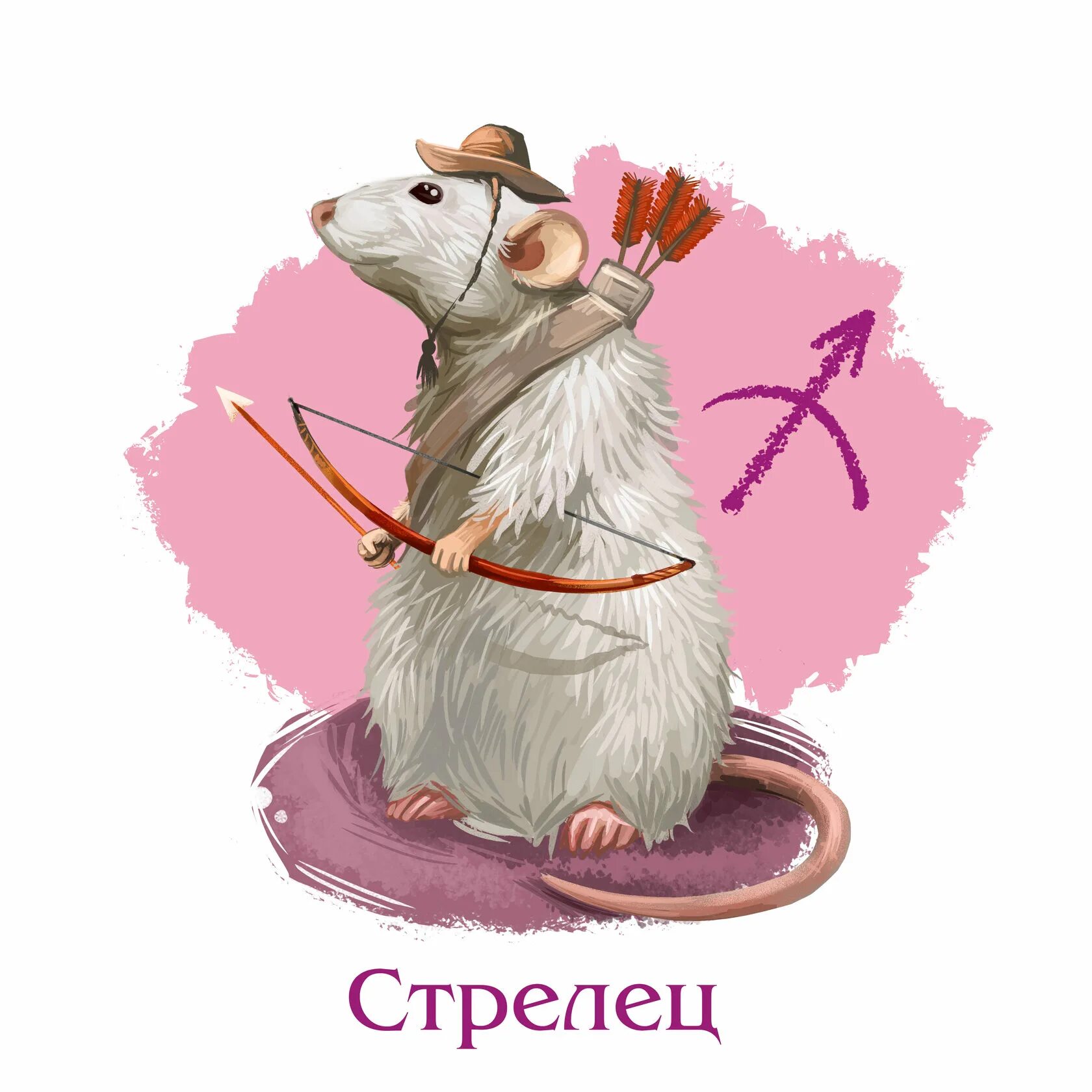 Стрелец крыса гороскоп. Стрелец крыса гороскоп. Крыса характеристика знака. Стрелец крыса. Стрелец крыса гороскоп.