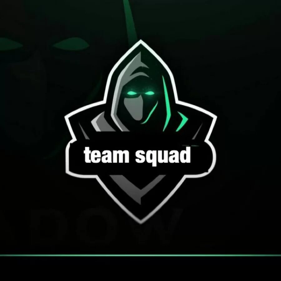 Команды в сквад. Squad Team. Squad команда. Deadly Squad Team. Лого команды Gold Squad.
