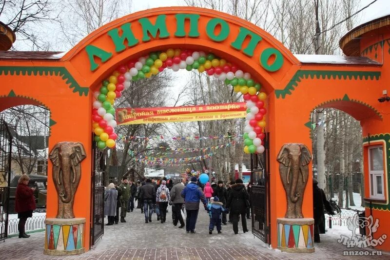 Нижегородский зоопарк Лимпопо. Сормовский зоопарк Лимпопо. Сормовский парк Нижний Новгород Лимпопо. Зоопарк Лимпопо в Нижнем Новгороде площадь. Зоопарк лимпопо нижний новгород сайт