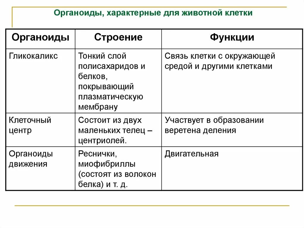 Наличие функции характерно для. Строение клетки органоиды строение функции. Строение клетки основные органоиды их строение и функции. Структуры клетки строение функции органоиды движения. Органоиды движения таблица 10 класс.