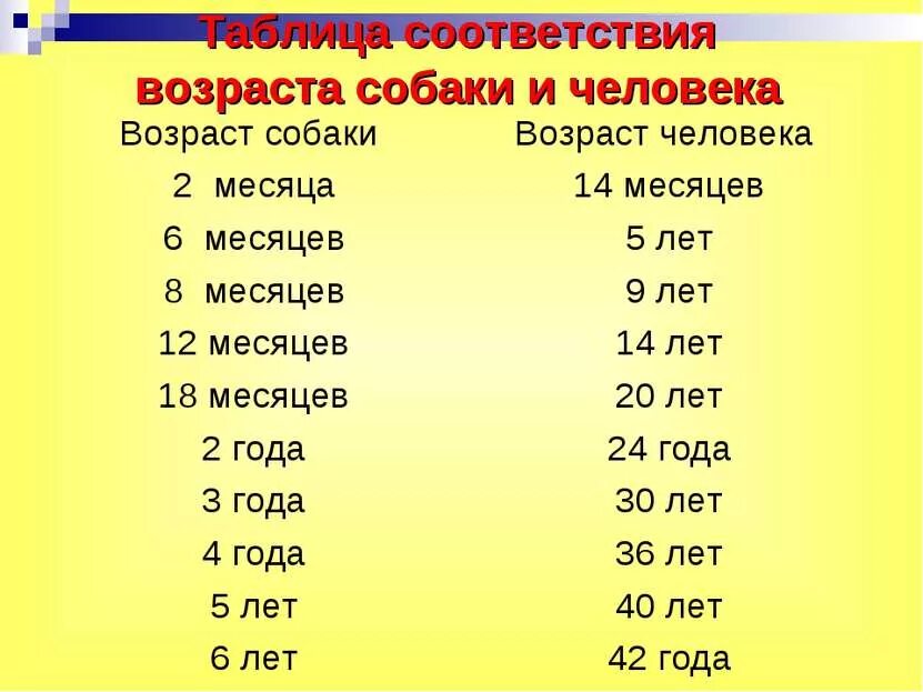 Как узнать год собаки. Соотношение возраста собаки и человека по месяцам таблица. Возраст собаки по отношению к человеку таблица. Таблица измерения возраста собаки и человека. Таблица соответствия возраста собаки.