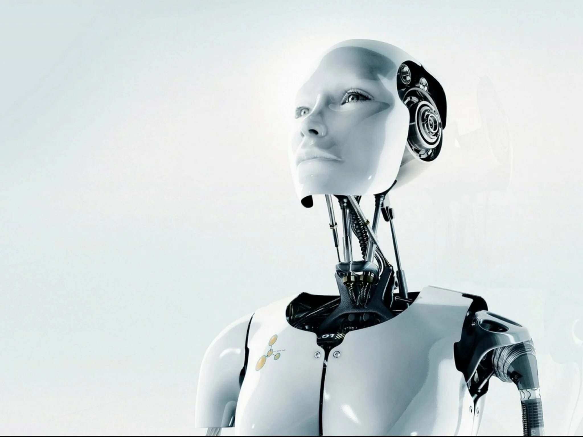 Robots content noindex