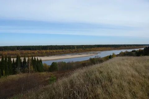 Погода в троицком шарьинского