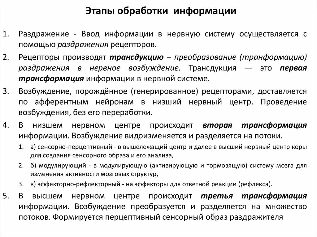 Механизмы переработки информации в сенсорной системе. Этапы переработки информации. Этапы обработки информации. Нейронные механизмы переработки информации в сенсорных системах.