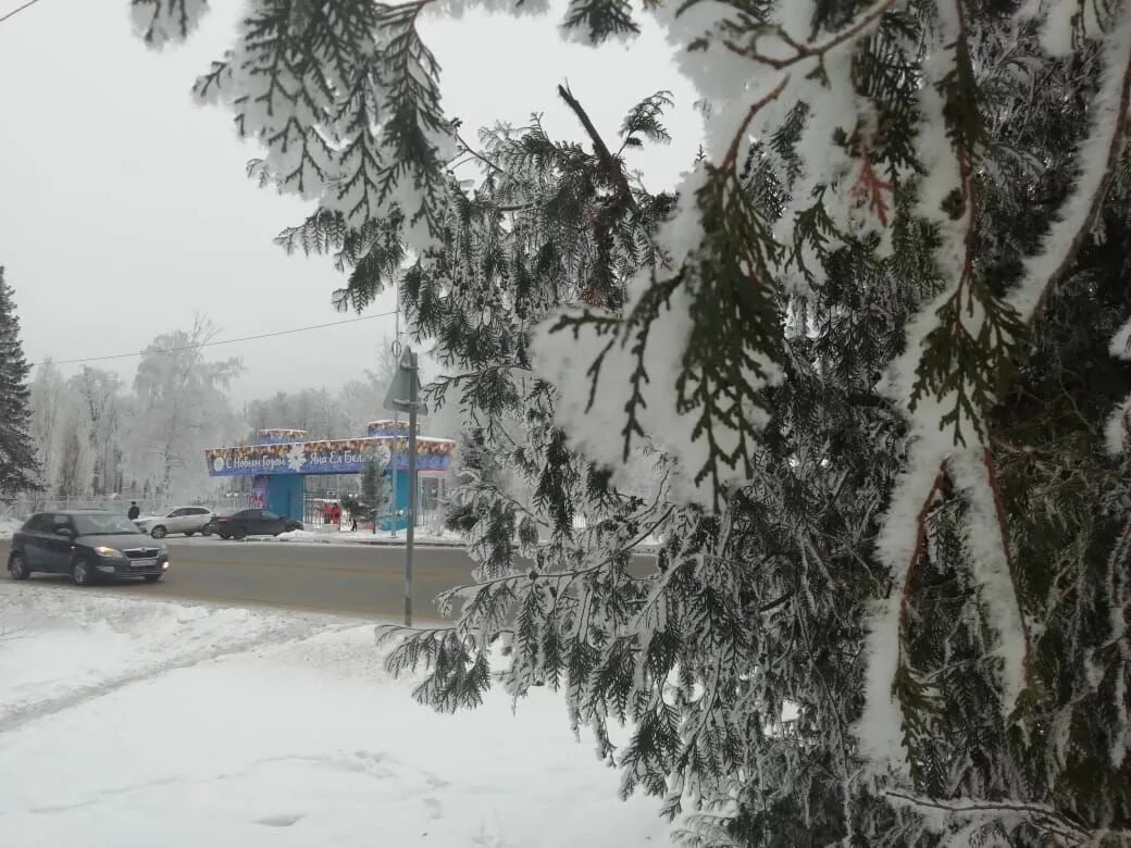 зеленодольск зимой. зеленодольск зима. снежок зеленодольск. зеленодольск зима парк. зеленодольск зима парк.