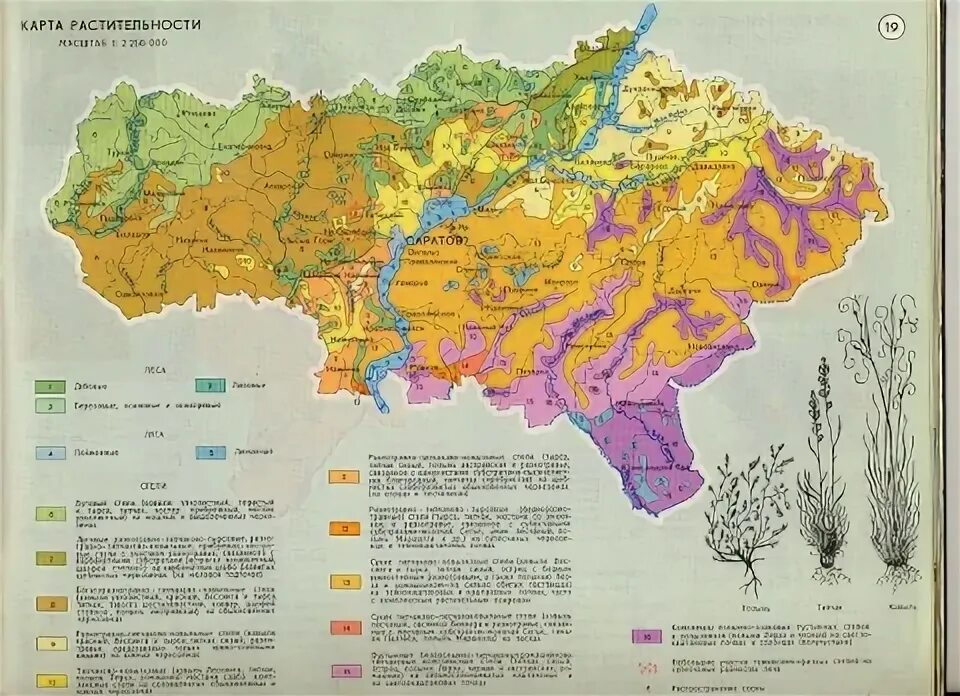 Какая природная зона в пензенской области. Карта растительности Саратовской области. Ландшафтная карта Саратовской области. Карта природных зон Саратовской области подробная. Природные зоны Белгородской области карта.