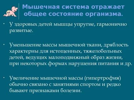 Костно мышечная система у детей