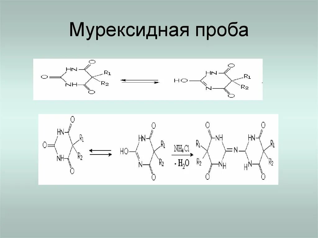 Кофеин мурексидная проба реакция. Мурексидная проба на барбитураты. Теобромин мурексидная проба реакция. Мурексидная проба на производные Пурина. Общегрупповые реакции подлинности