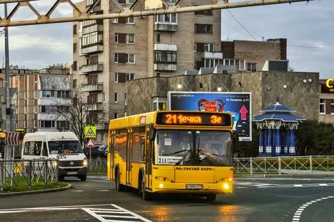 Автобус 486 спб