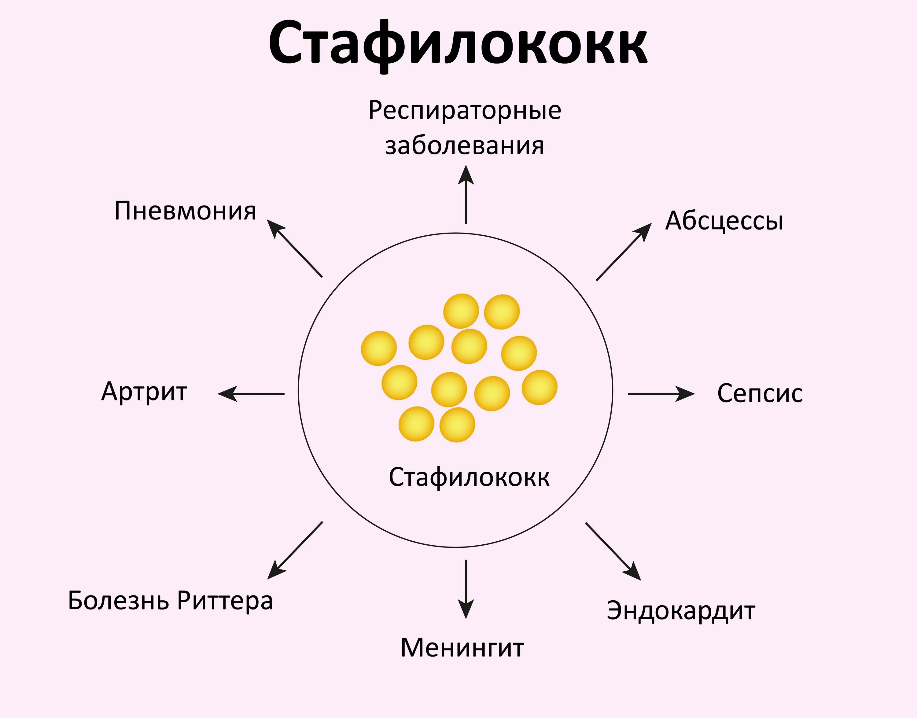 Болезни вызванные золотистым стафилококком. Заболевания вызываемые стафилококками. Проявления заражения стафилококка.