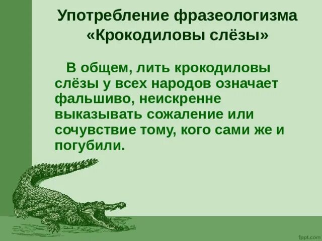 Выражение крокодиловые слезы. Фразеологизм Крокодиловы слезы. Фразеологизм лить Крокодиловы слезы. Крокодильи слезы фразеологизм. Лить Крокодиловы слезы значение фразеологизма.