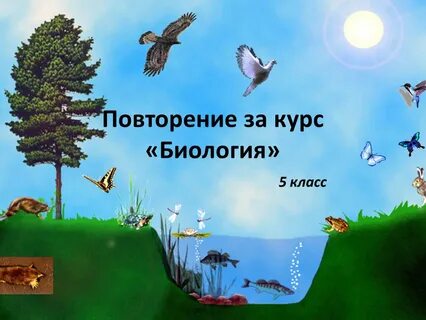 Какие среды обитания живых организмов существуют