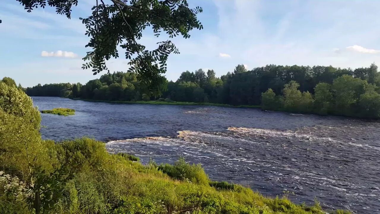 Река мста новгородская область. Река Мста Боровичи. Мста речка Боровичи. Боровичские пороги на реке Мста.