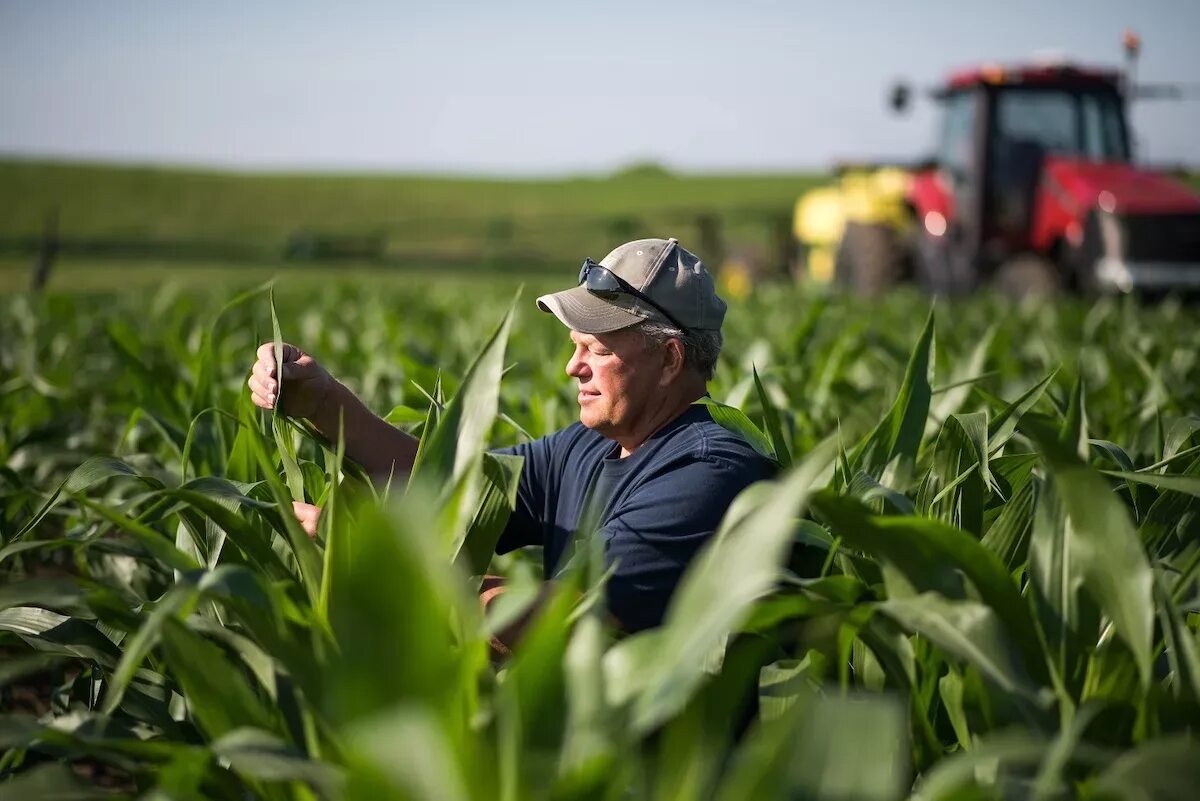 Сельское хозяйство фермер. Липецк сельское хозяйство. Работники сельского хозяйства. Агроном. Сельское хозяйство фермерство.
