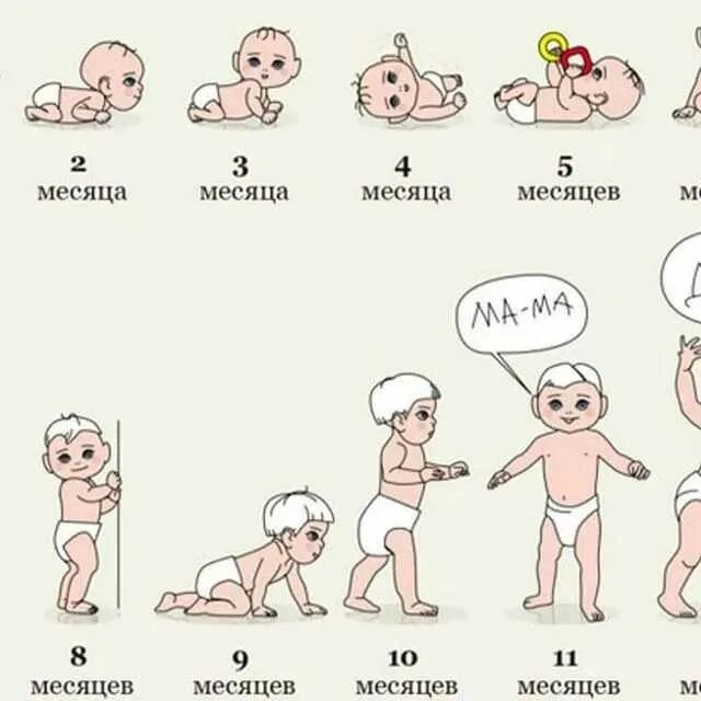 Развитие ребёнка по месяцам. Развитие ребёнка по месяцам до 1 года. Этапы развития ребенка до года. Развитие новорожденного по месяцам до года.
