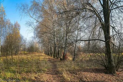 Тургенев поздняя осень