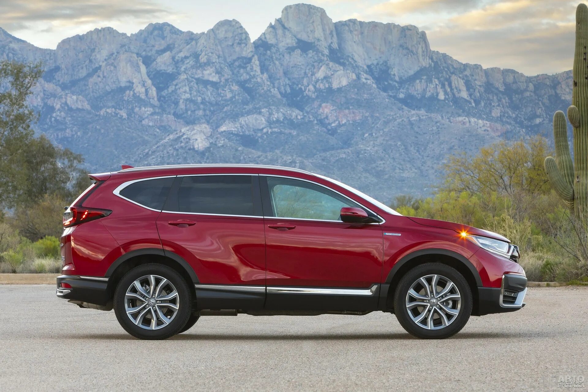 Crv 2025. Honda cr-v 2025. хонда срв 2025. хонда crv 2025. honda cr-v 2025.