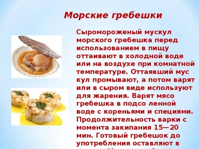 Гребешки морские вред. Морской гребешок из чего состоит. Обработка морского гребешка. Мускул морского гребешка. Кулинарное использование морского гребешка.