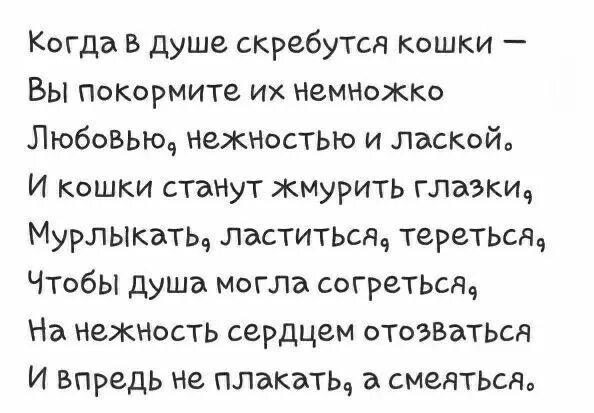 На душе скребутся кошки. Когда в душе скребутся кошки вы Покормите их немножко. Когда на душе кошки скребут. На душе скребутся кошки стихи.