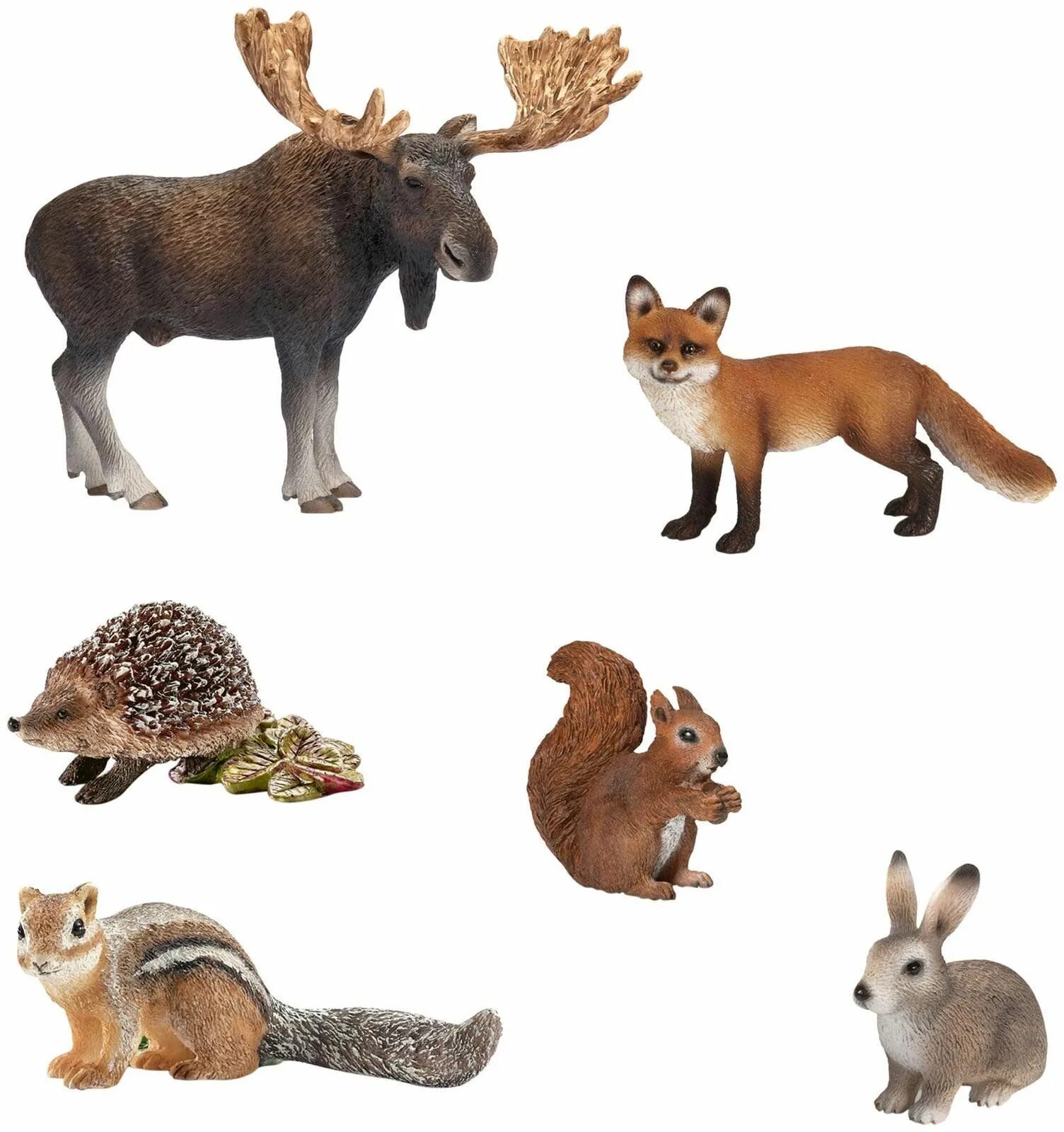 дикие животные картинки для детей. макси-пазлы «лесные животные» реалистичные. картинка детская дикие животные. дикие животные для дошкольников. дикие животные карточки для детей.