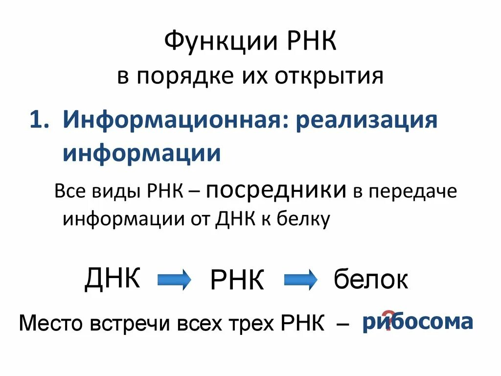 Функциональная рнк. Функции РНК. Функции всех РНК. Функции информационной РНК. Функции РНК кратко.