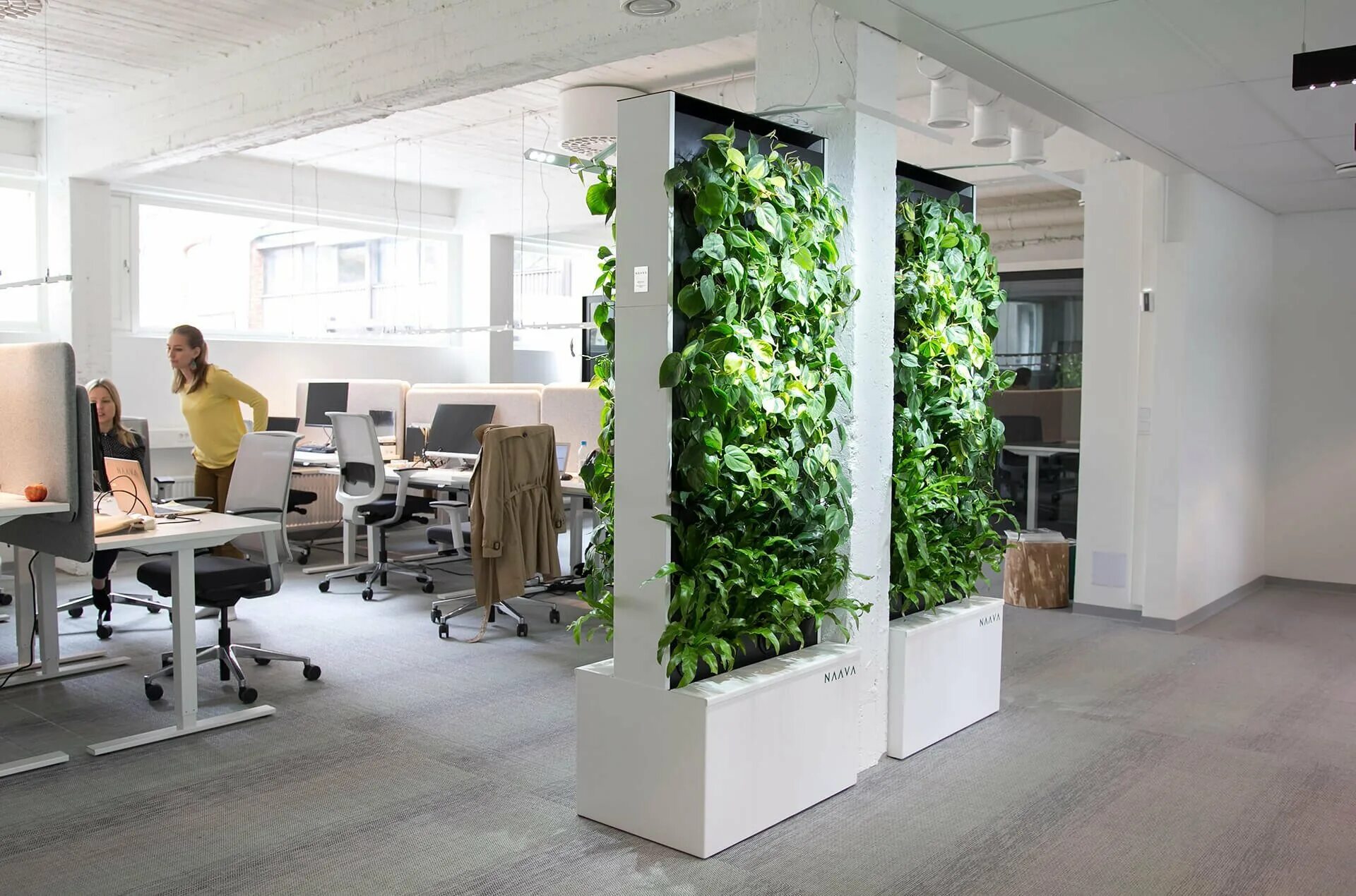 Озеленение опен Спейс. Фитостена в офисе. Компания Грин Спейс вертикальное Озеленение. Для чего можно использовать помещение