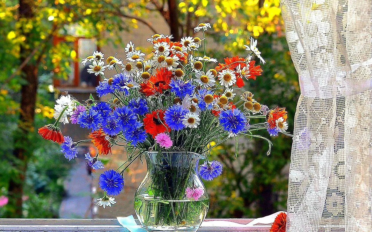 Красивые картинки летнего утра. Летние цветы. Букет полевые цветы. Полевые цветы на окне. Весенние цветы на окне.