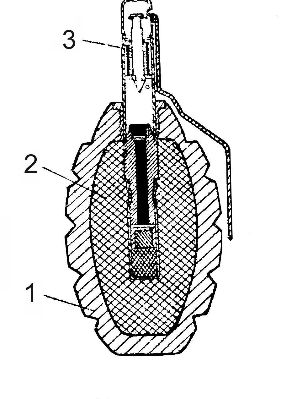 Граната ф1 строение. Устройство гранаты ф1. Составные части гранаты ф1. Устройство ручных осколочных гранат ф-1.