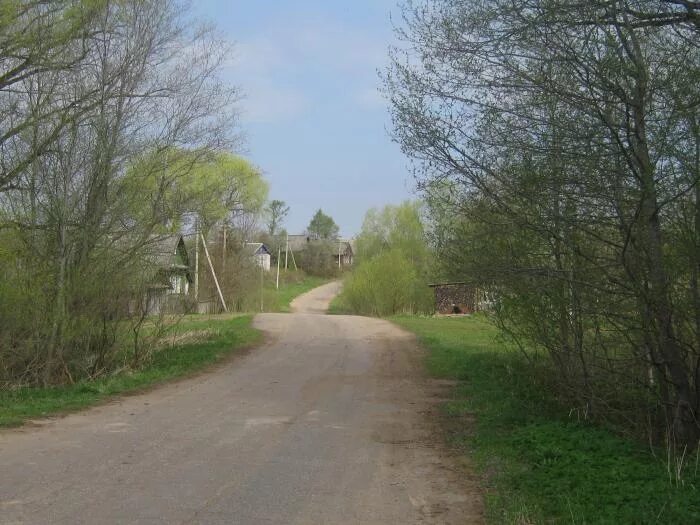 Новгородская область парфинский район деревня. Деревня Росино Парфинский район. Деревня РОСНО Парфинский район Новгородская область. Федорково (Парфинский район). Полавское сельское Парфинского района.