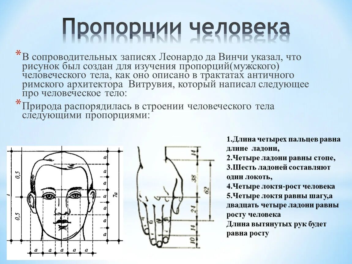 Пропорции человека. Основные пропорции человеческого тела. Пропорциичеловечекого телам. Пропорции тела человека в головах.