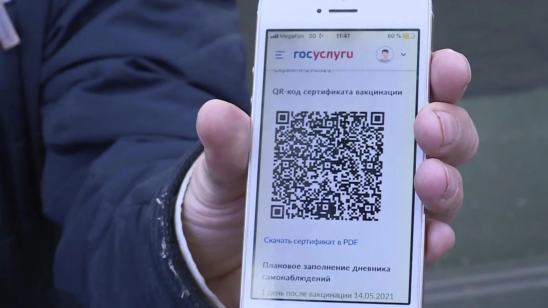 Qr код пермь. QR код. Сертификат с QR кодом. QR коды в общественных местах.