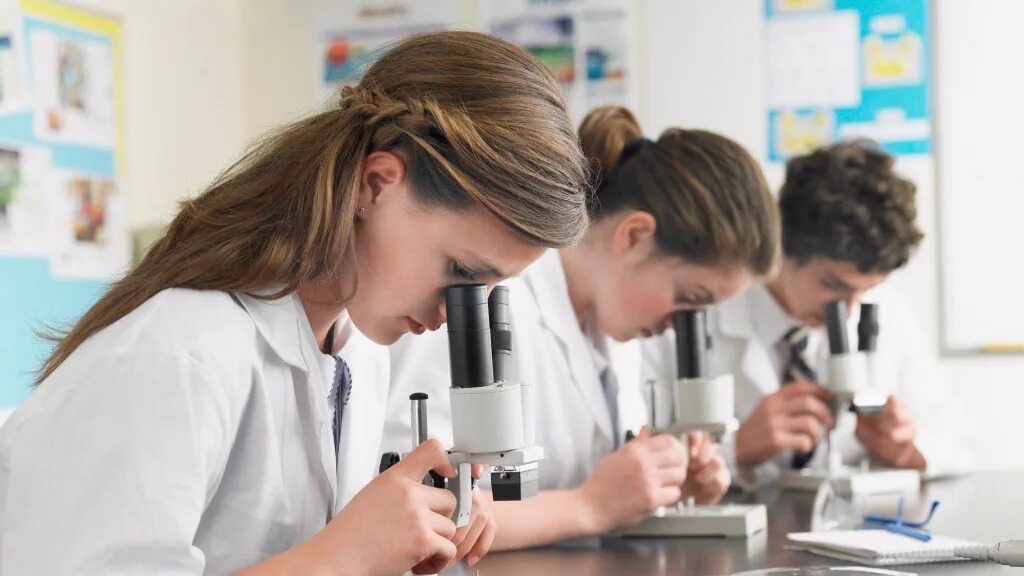 Наука для детей. Ученики в лаборатории. Бгту им шухова химико-технологический институт. Ученики в лаборатории. Школьники на уроке химии.
