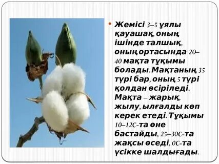 Жас қыздармен анальды секс