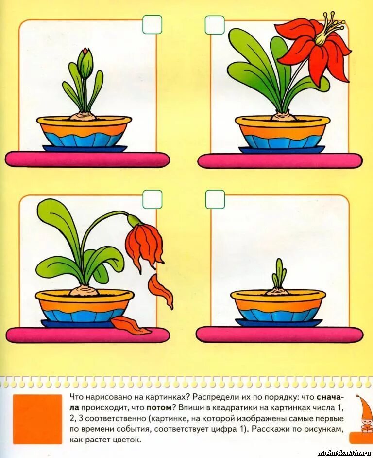 рано поздно задания для детей. дидактическая игра что было раньше а что теперь. задания что сначала что потом. найди а что потом текст. что сначала что потом в картинках для детей.