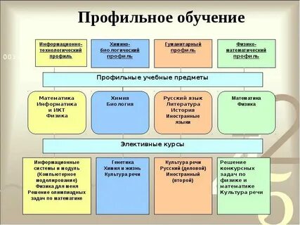 Профиль обучения в 10