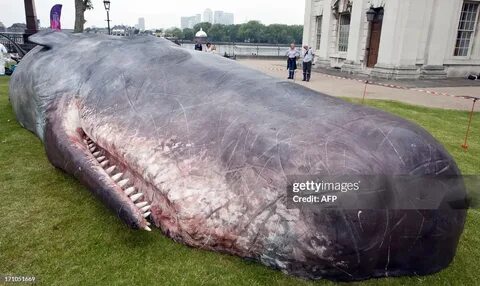 Олар орысша айқайлайды