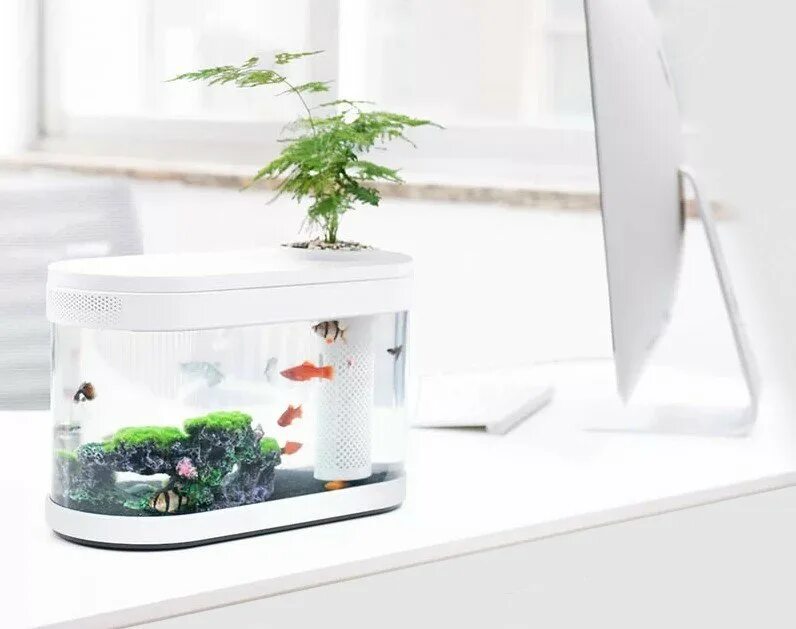 Акваферма купить. Аквариум Xiaomi Geometry Fish Tank Aquaponics ecosystem (c180). Аквариум Xiaomi Geometry Fish Tank Aquaponics ecosystem (HF-jhyg001). Аквариум Xiaomi Eco Fish Tank. Аквариум Xiaomi Geometry Fish Tank Aquaponics ecosystem c180 Standart Set.