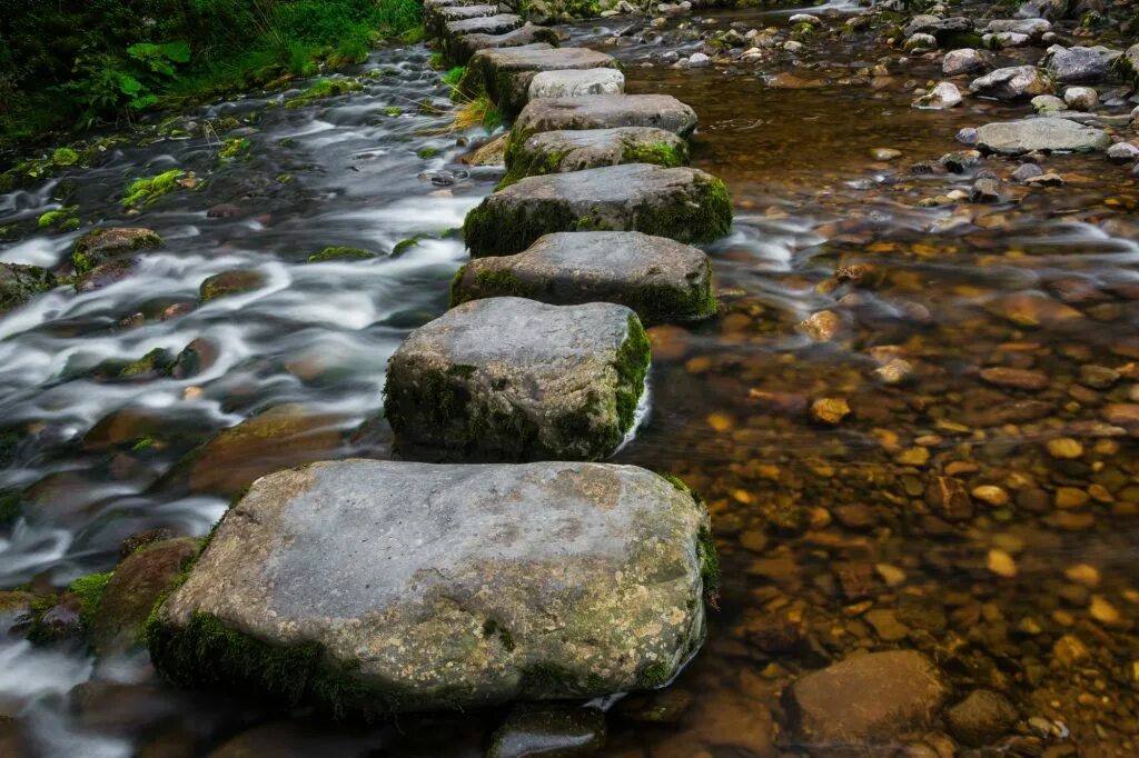 Stepping 6