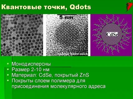 Структура точки