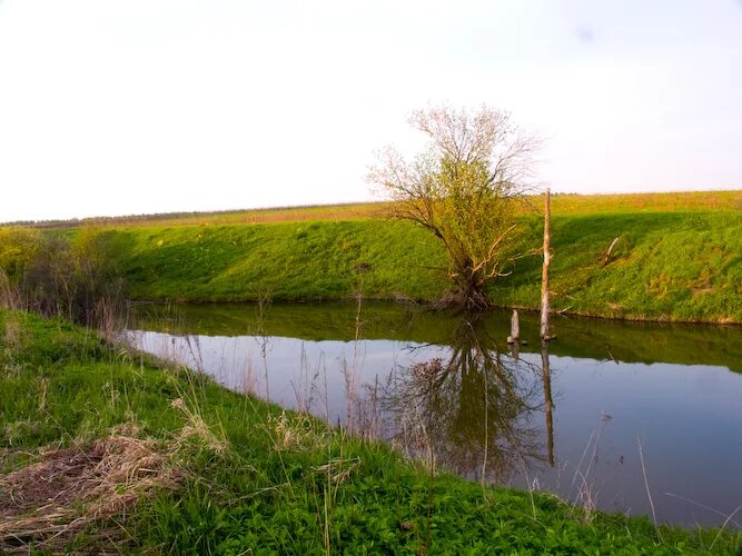 Река жалка