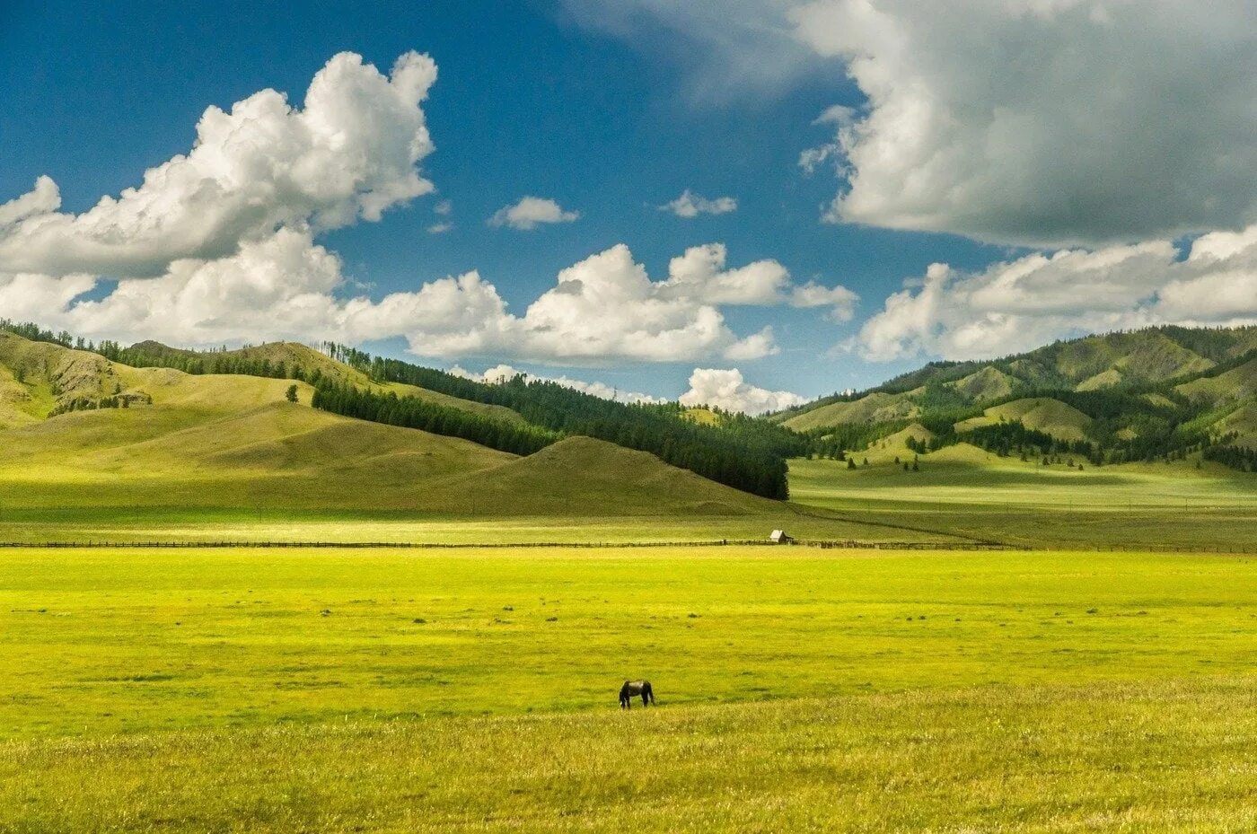 Кулундинская степь. Алтайский край равнина. Алтайский край равнина. Алтайский край природа равнины. Алтайский край степи и равнины.