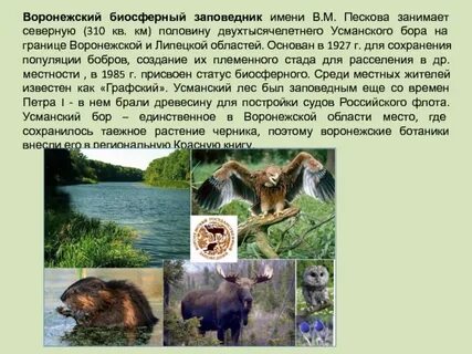 Биосферный заповедник задачи