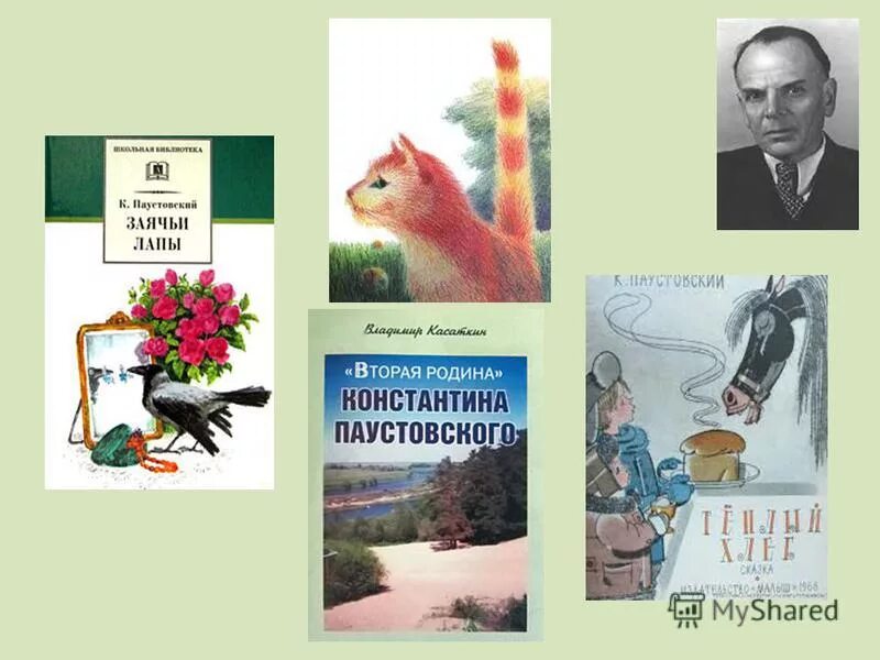 Паустовский растрёпанный Воробей. К Г Паустовский книги. Паустовский 3 класс. К Г Паустовский растрепанный Воробей.