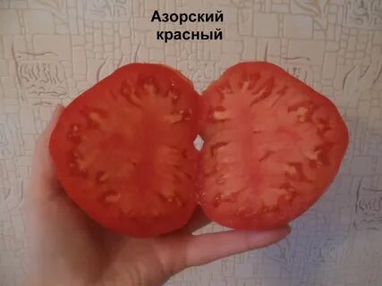 Томат сердце красного дракона отзывы описание