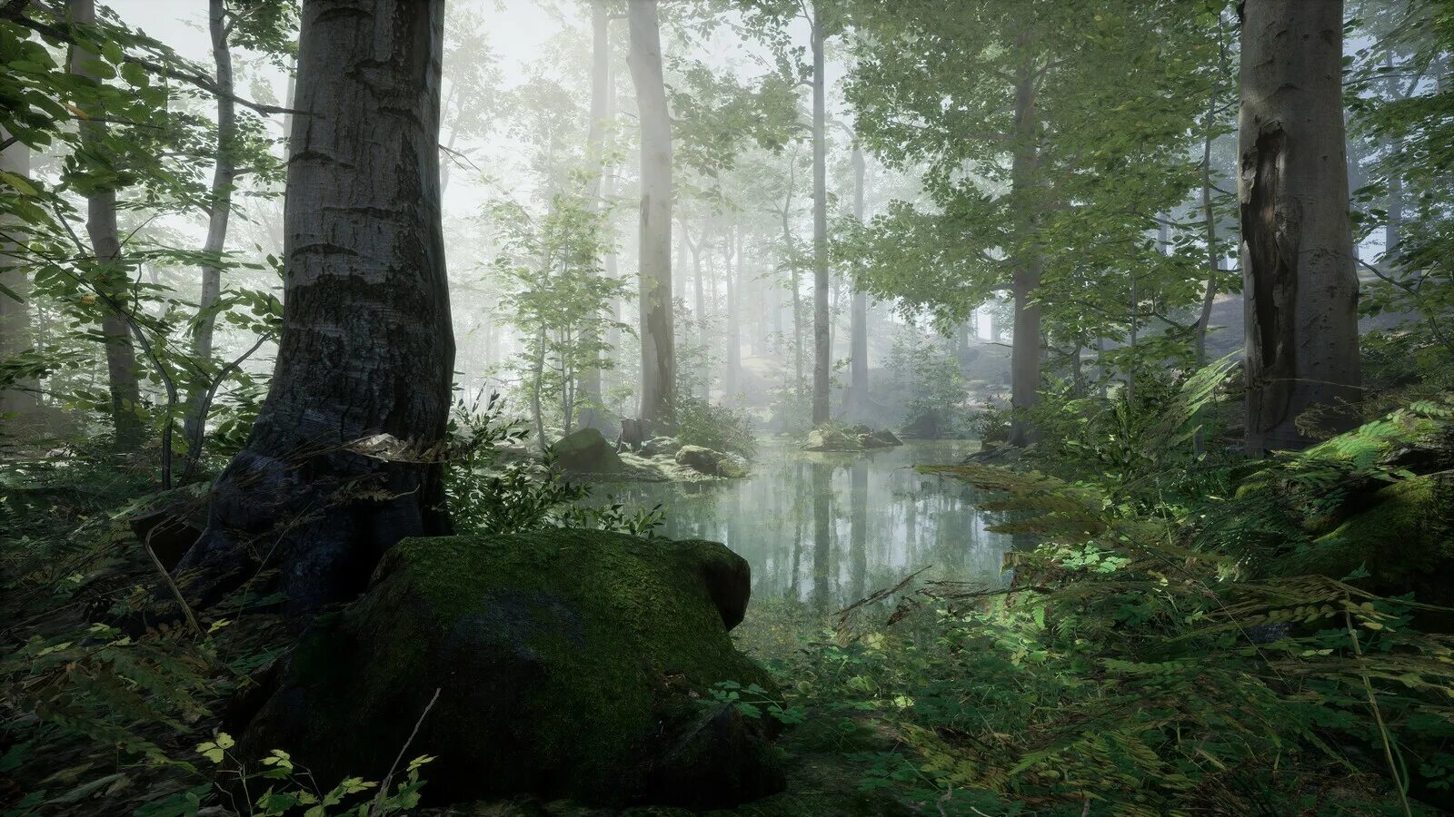 Ассеты unreal. Unreal engine 5 реалистичная графика. фотобаш леса. русский лес в unreal engine. референсы природы unreal.