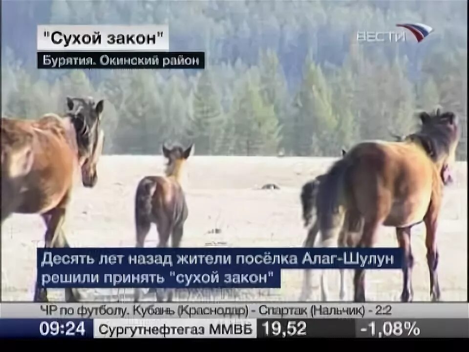 Законы бурятии
