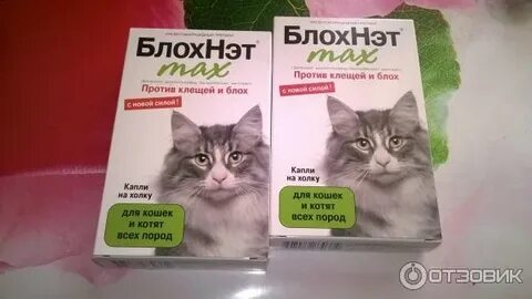 Блох нет
