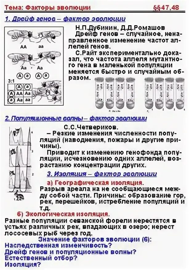 Дрейф генов приводит в популяции. Дрейф генов факторы. дрейф генов фактор эволюции. популяционные волны и дрейф генов. дрейф генов изоляция факторы эволюции.