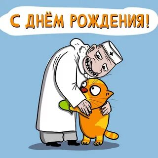 С днем ветеринара картинки прикольные