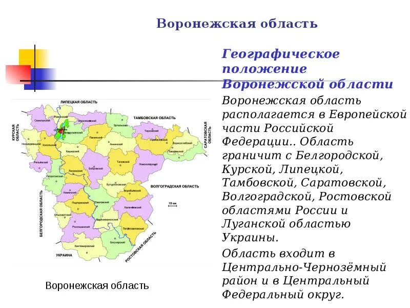 Города которые находятся в воронежской области. Воронежская область на карте с кем граничит. Какие области граничат с Воронежской областью на карте. Территориальное положение Воронежской области. Географическое положение Воронежской области карта.